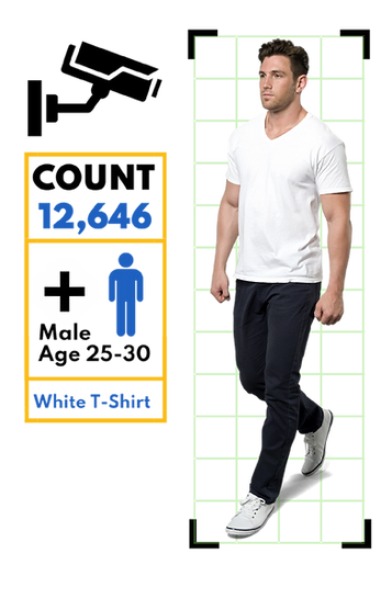 Still of the demographic breakdown provided by Azkavision on a customer male